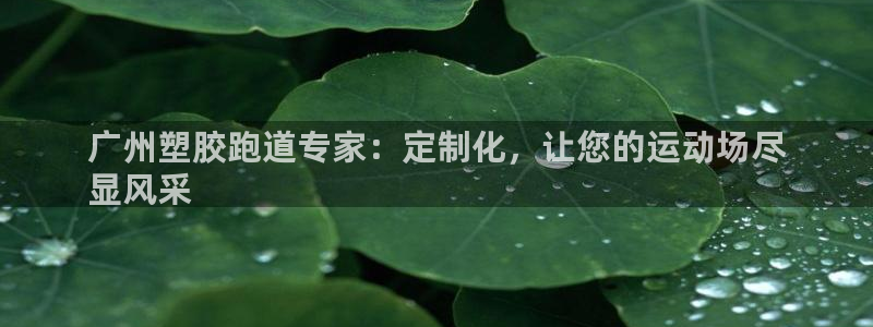 红足 世足球手机网