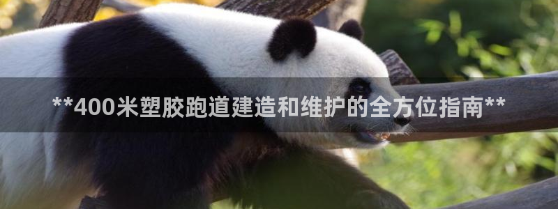 红足一1世官网比分