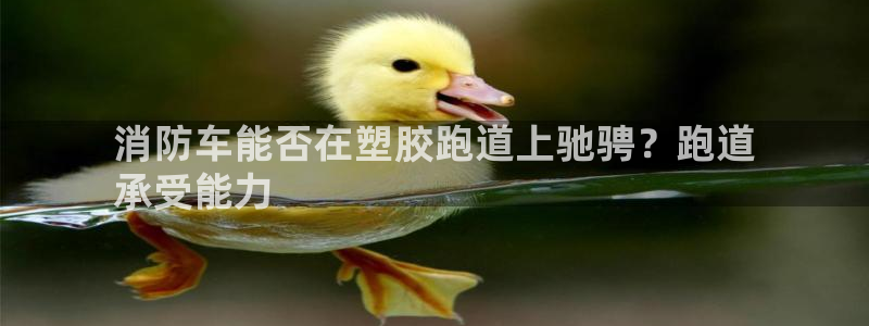 红足一1世官网比分