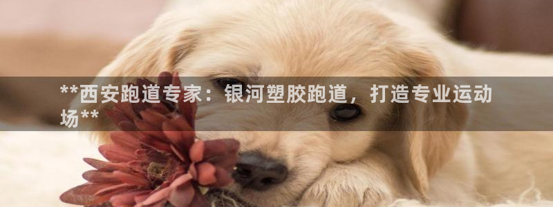 新2足球平台出租网站