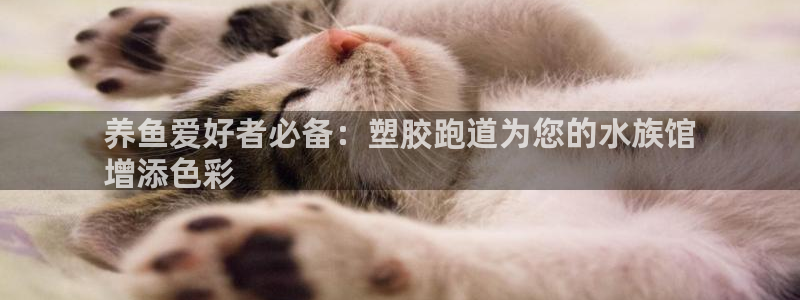 红足一1世666814最新结果