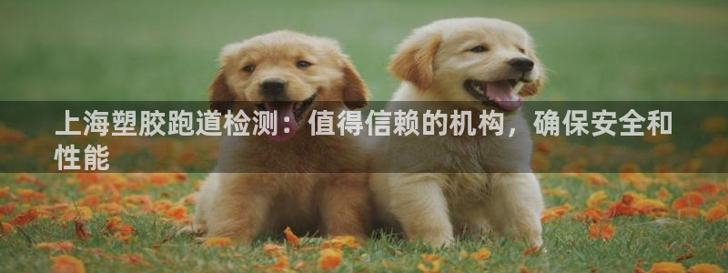 红足1世足球比分网址