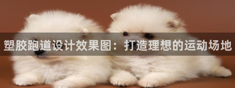 红足一1世官网