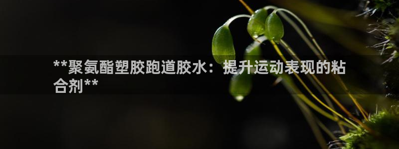777814红·足一世比分篮球