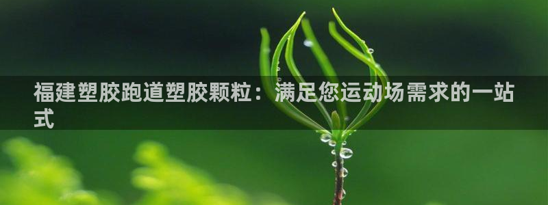 红足1世手机板