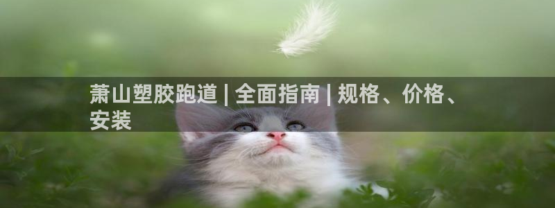 666814红·足一世比分