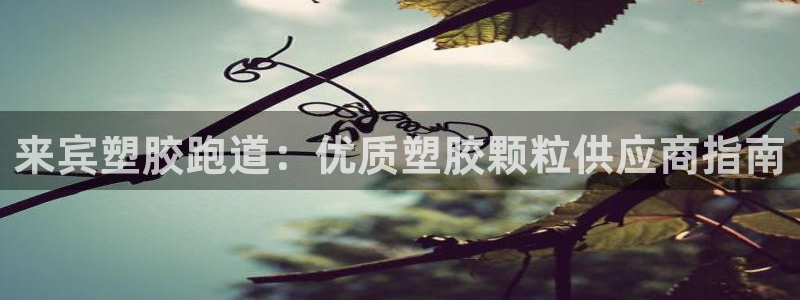 红足1世手机下载