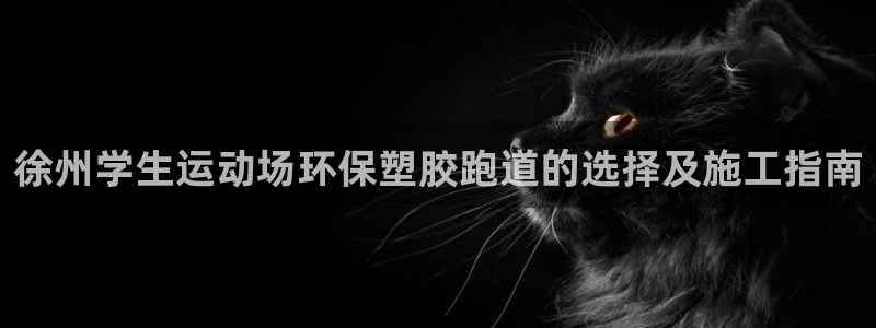 红足1世足球网址：徐州学生运动场环保塑胶跑道的选择及施工指南