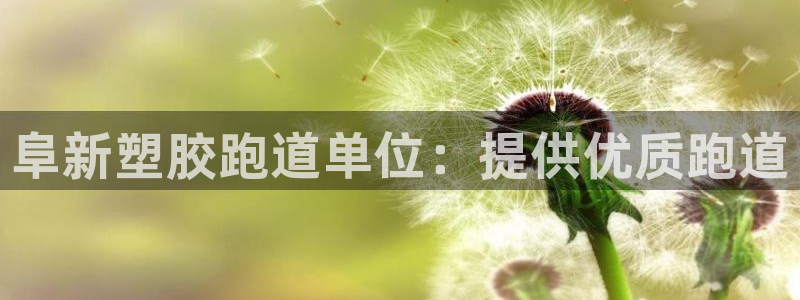 红足一1世官网：阜新塑胶跑道单位：提供优质跑道
