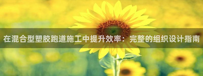 红姐现场直播开奖记录：在混合型塑胶跑道施工中提升效率：完整的组织设计指南