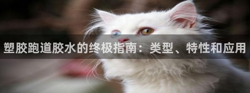 44814红足：塑胶跑道胶水的终极指南：类型、特性和应用