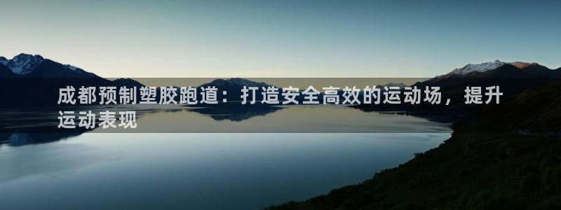 百度红足一1是为什么：成都预制塑胶跑道：打造安全高效的运动场，提升
运动表现