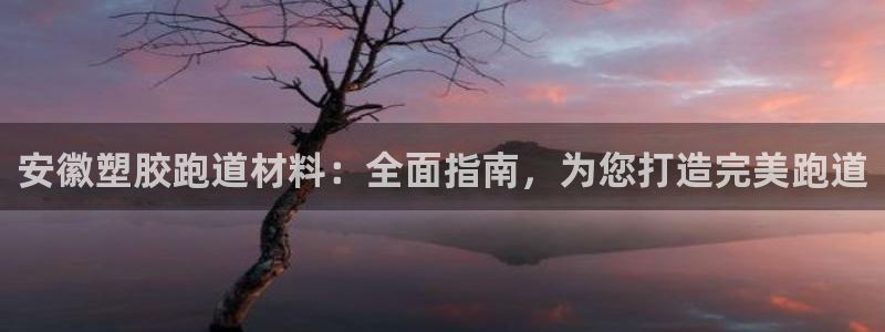 百度红足一1是干什么的：安徽塑胶跑道材料：全面指南，为您打造完美跑道