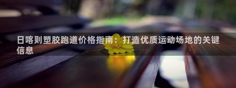 红足1一世足球手机：日喀则塑胶跑道价格指南：打造优质运动场地的关键
信息