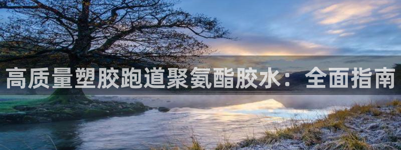 红足一1世皇冠登录：高质量塑胶跑道聚氨酯胶水：全面指南