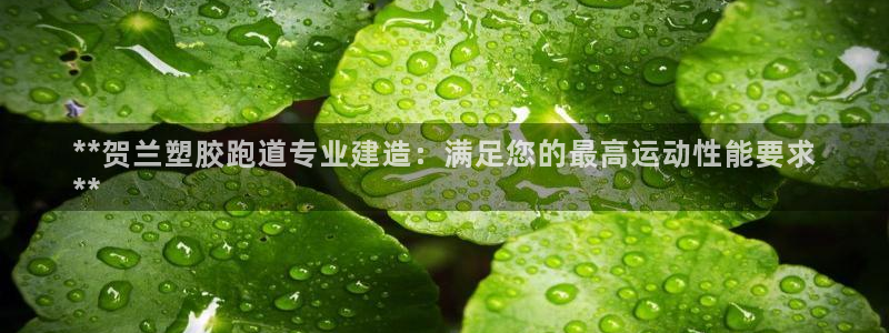 红足一1世666814足球比分网：**贺兰塑胶跑道专业建造：满足您的最高运动性能要求
**