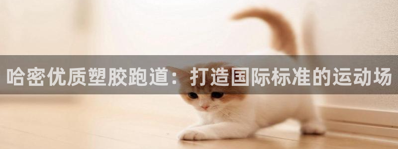 66814红足：哈密优质塑胶跑道：打造国际标准的运动场
