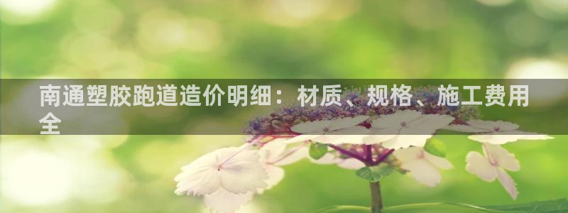 红足一1世比分网：南通塑胶跑道造价明细：材质、规格、施工费用
全