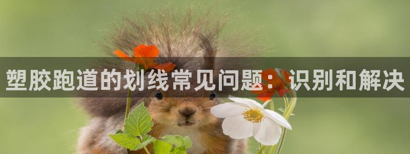 红足一1世皇冠登录：塑胶跑道的划线常见问题：识别和解决