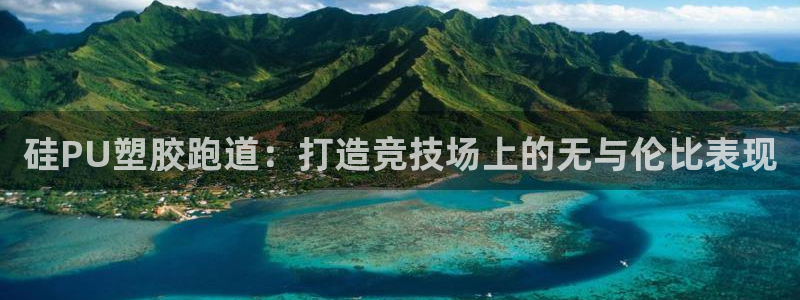 红足一1世：硅PU塑胶跑道：打造竞技场上的无与伦比表现