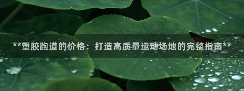 红足一球：**塑胶跑道的价格：打造高质量运动场地的完整指南**