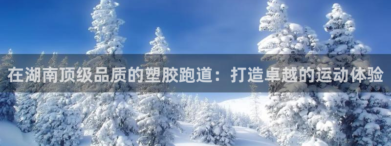 百度红足一1视频在线观看：在湖南顶级品质的塑胶跑道：打造卓越的运动体验