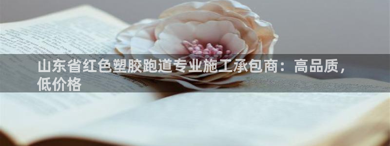 红足网足球直播：山东省红色塑胶跑道专业施工承包商：高品质，
低价格