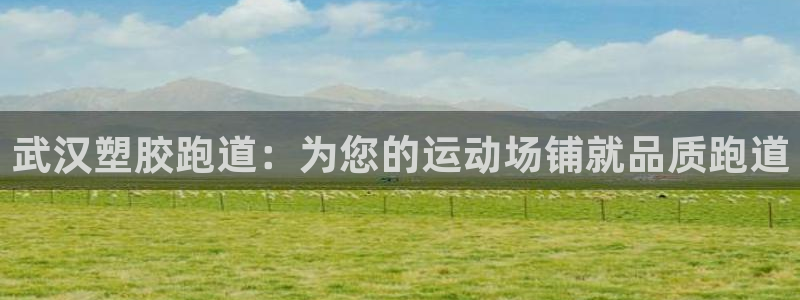 777814红·足一世：武汉塑胶跑道：为您的运动场铺就品质跑道