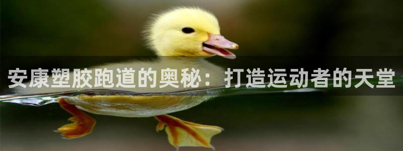 红足一生世：安康塑胶跑道的奥秘：打造运动者的天堂