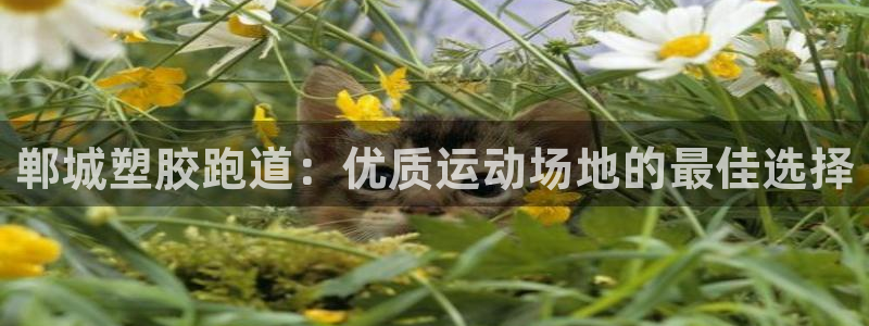 红足l一世开奖现场62ty：郸城塑胶跑道：优质运动场地的最佳选择