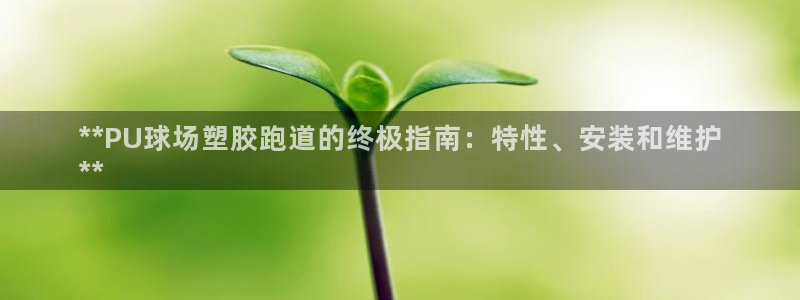 红足1世手足球比分：**PU球场塑胶跑道的终极指南：特性、安装和维护
**