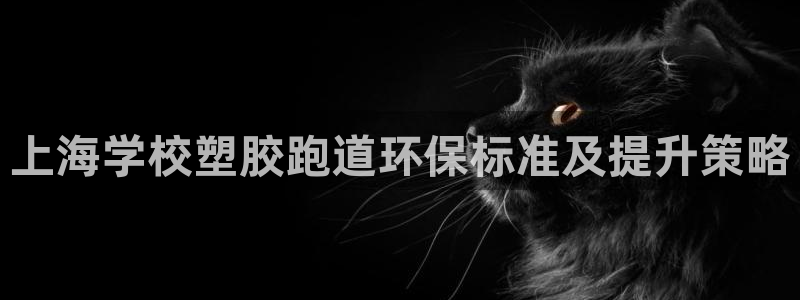 333814红·足一世比分：上海学校塑胶跑道环保标准及提升策略