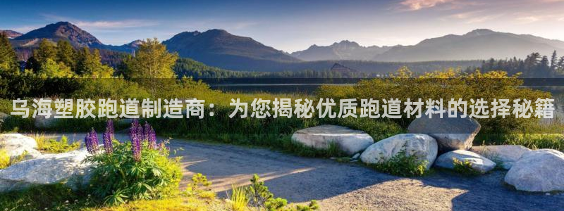 红足一1世皇冠：乌海塑胶跑道制造商：为您揭秘优质跑道材料的选择秘籍