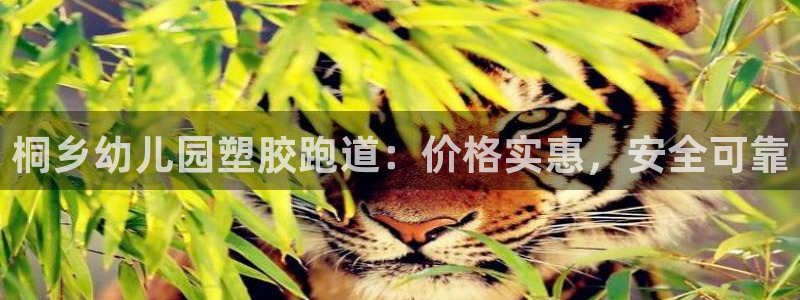 66814红足一66814世：桐乡幼儿园塑胶跑道：价格实惠，安全可靠