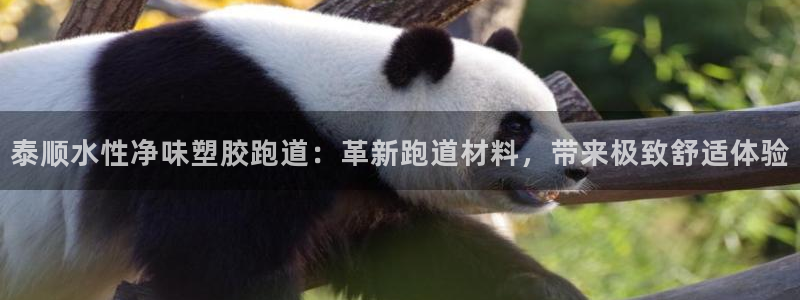 333814红·足一世比分：泰顺水性净味塑胶跑道：革新跑道材料，带来极致舒适体验