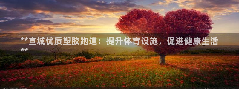 红足一一世足球网开奖记录：**宣城优质塑胶跑道：提升体育设施，促进健康生活
**