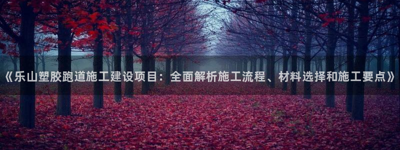 777814红·足一世比分篮球：《乐山塑胶跑道施工建设项目：全面解析施工流程、材料选择和施工要点》