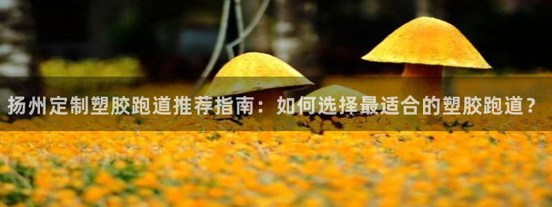 红足一1世666814足球比分网：扬州定制塑胶跑道推荐指南：如何选择最适合的塑胶跑道？