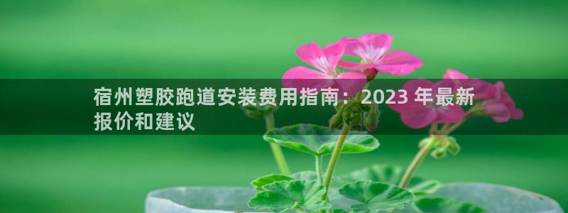 红足网足球直播：宿州塑胶跑道安装费用指南：2023 年最新
报价和建议