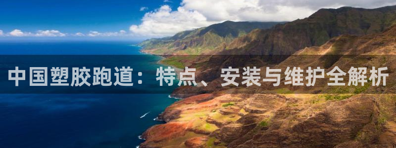 77814红足1世：中国塑胶跑道：特点、安装与维护全解析