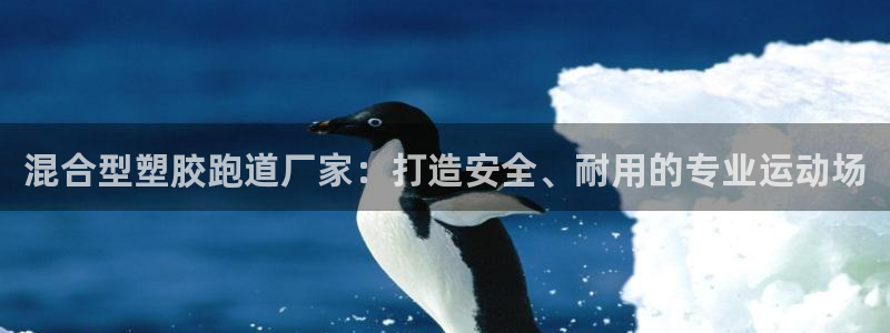 4633333开奖结果4176一点红：混合型塑胶跑道厂家：打造安全、耐用的专业运动场