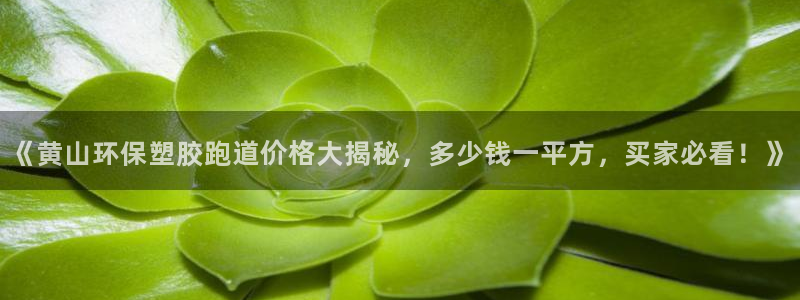 红足1世足球：《黄山环保塑胶跑道价格大揭秘，多少钱一平方，买家必看！》