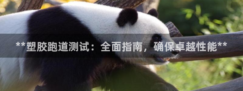 44814红足：**塑胶跑道测试：全面指南，确保卓越性能**