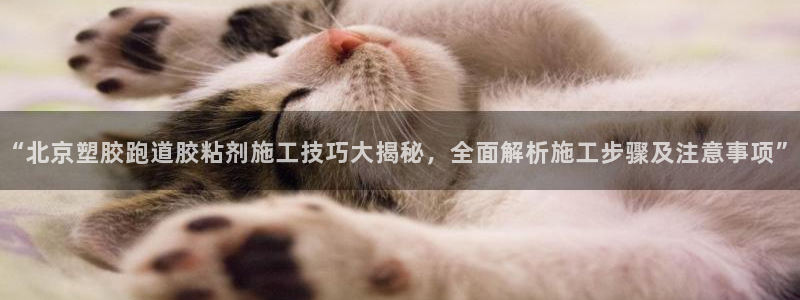 红足足球网：“北京塑胶跑道胶粘剂施工技巧大揭秘，全面解析施工步骤及注意事项”