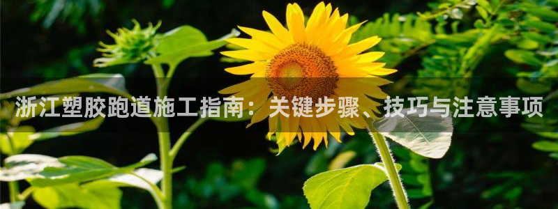 红足一1世官网足球推荐真人：浙江塑胶跑道施工指南：关键步骤、技巧与注意事项