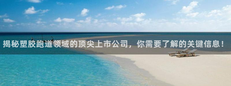 百度红足一1世：揭秘塑胶跑道领域的顶尖上市公司，你需要了解的关键信息！