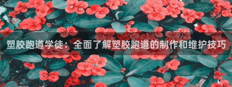 红姐现场直播开奖记录：塑胶跑道学徒：全面了解塑胶跑道的制作和维护技巧