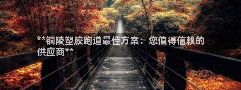 红足一1世官网比分：**铜陵塑胶跑道最佳方案：您值得信赖的
供应商**