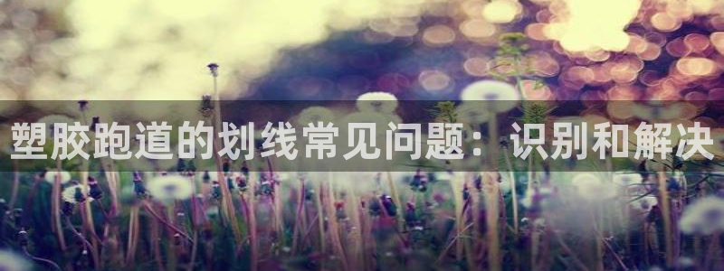 红足一1世：塑胶跑道的划线常见问题：识别和解决