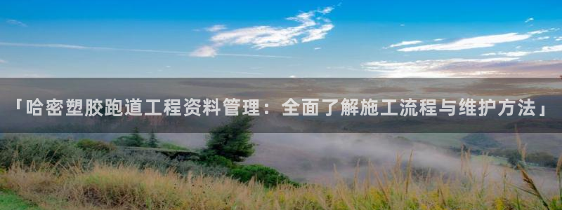红足一1世比分球探：「哈密塑胶跑道工程资料管理：全面了解施工流程与维护方法」